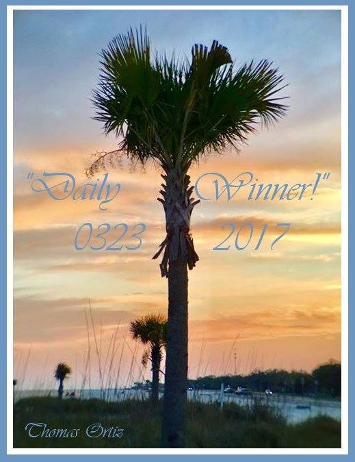 Florida sunsets are the best. Thomas Kupillas caught the moment