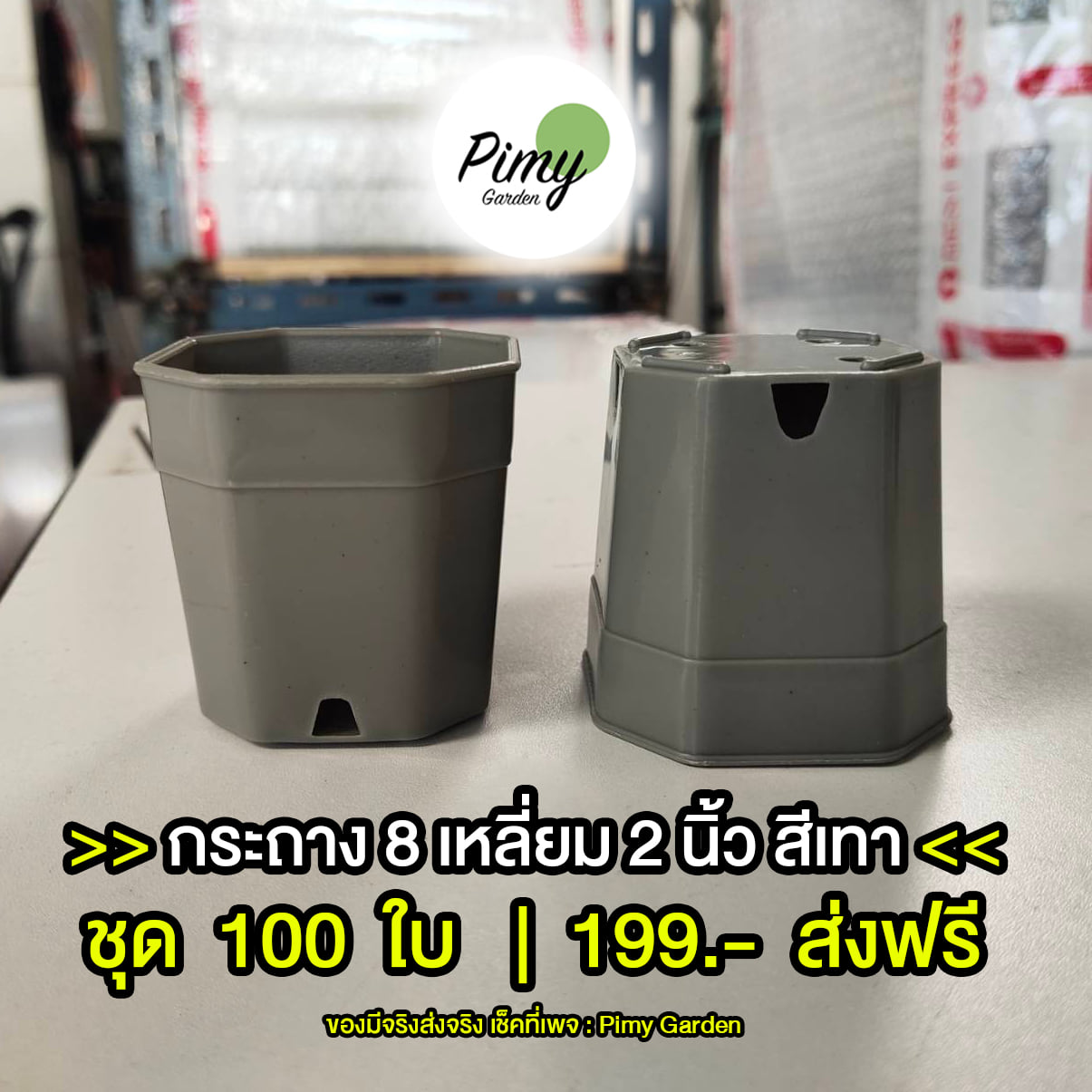 อารมณ์สีเทา...ต้องใช้กร... - Pimy Garden - กระถางต้นไม้พลาสติก