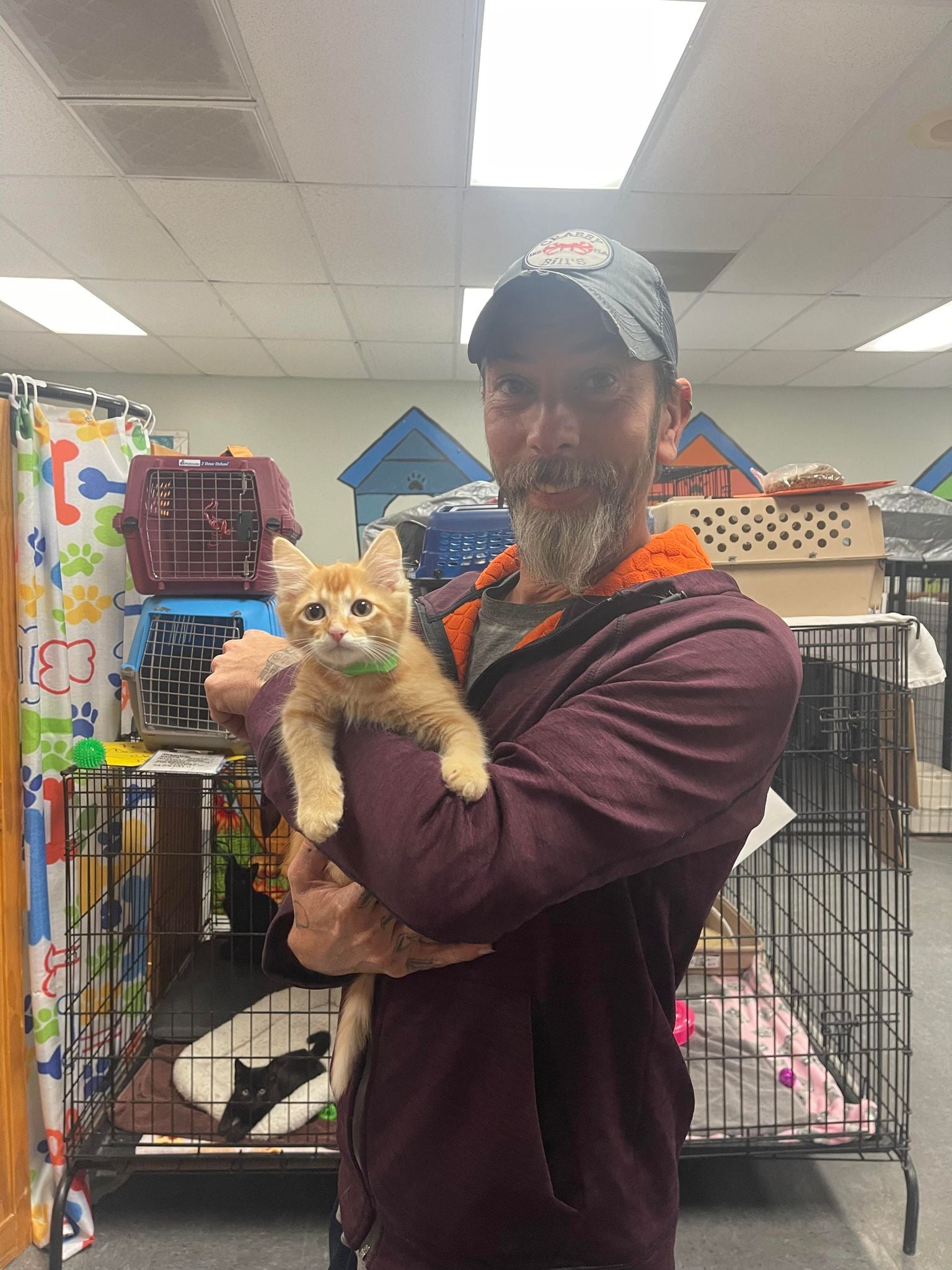So this happened today -... - FLUFF Animal Rescue | Facebook