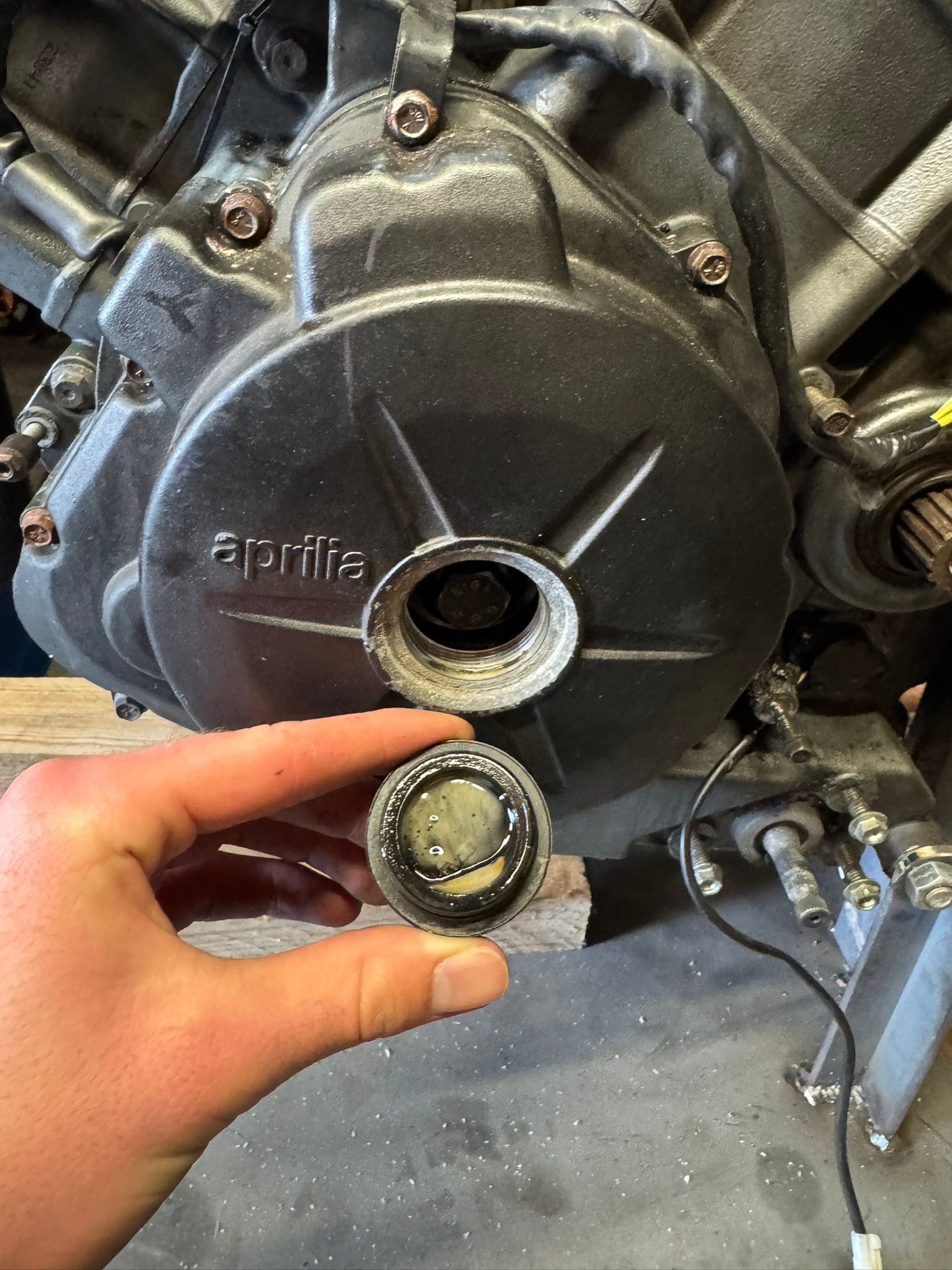 What is the unterminated hose on my Aprilia Shiver 900?