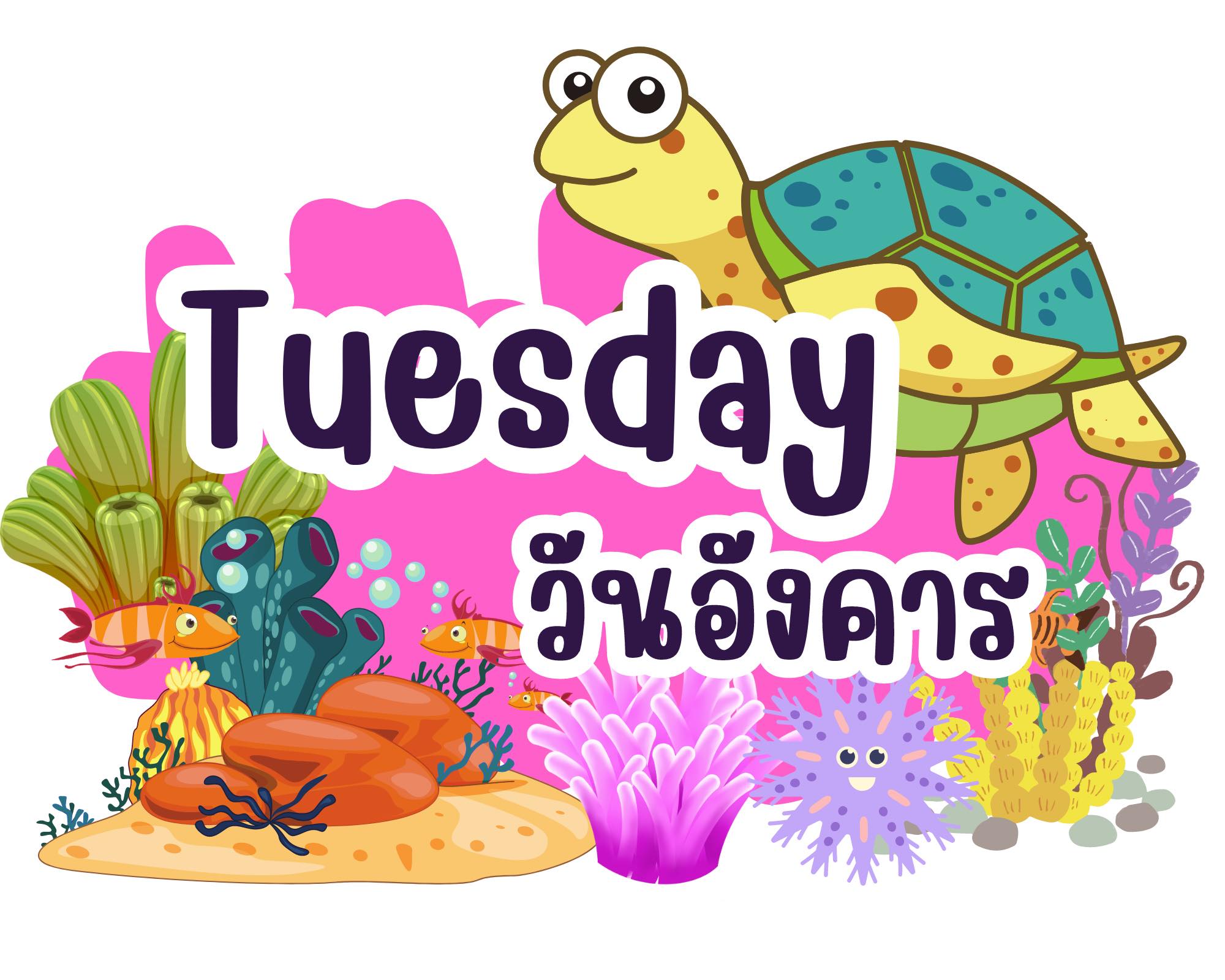 สื่อการสอน ครูพละ