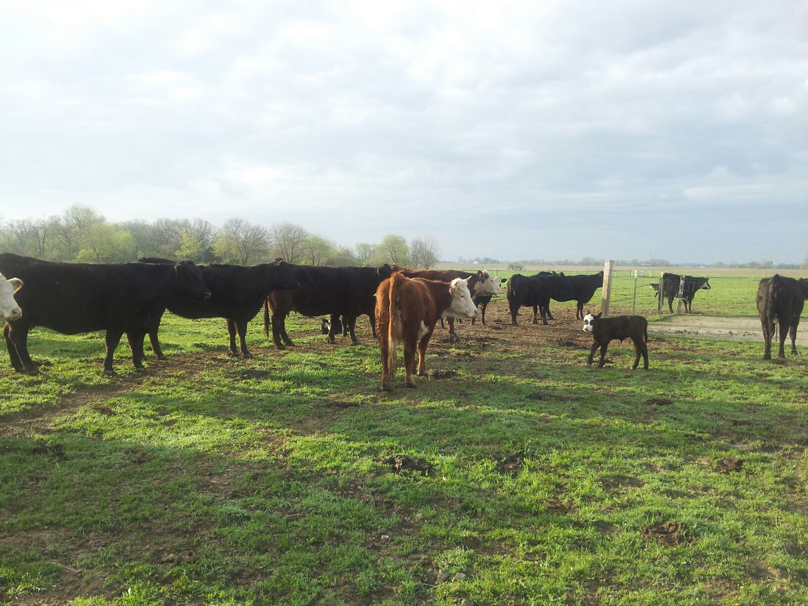 Walnut Ridge Farms
