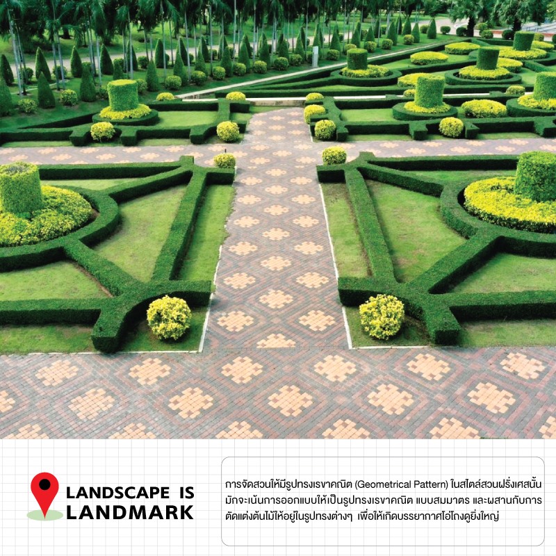 SCG - การจัดสวนให้มีรูปทรงเรขาคณิต (Geometrical Pattern) ในสไตล์สวน ...