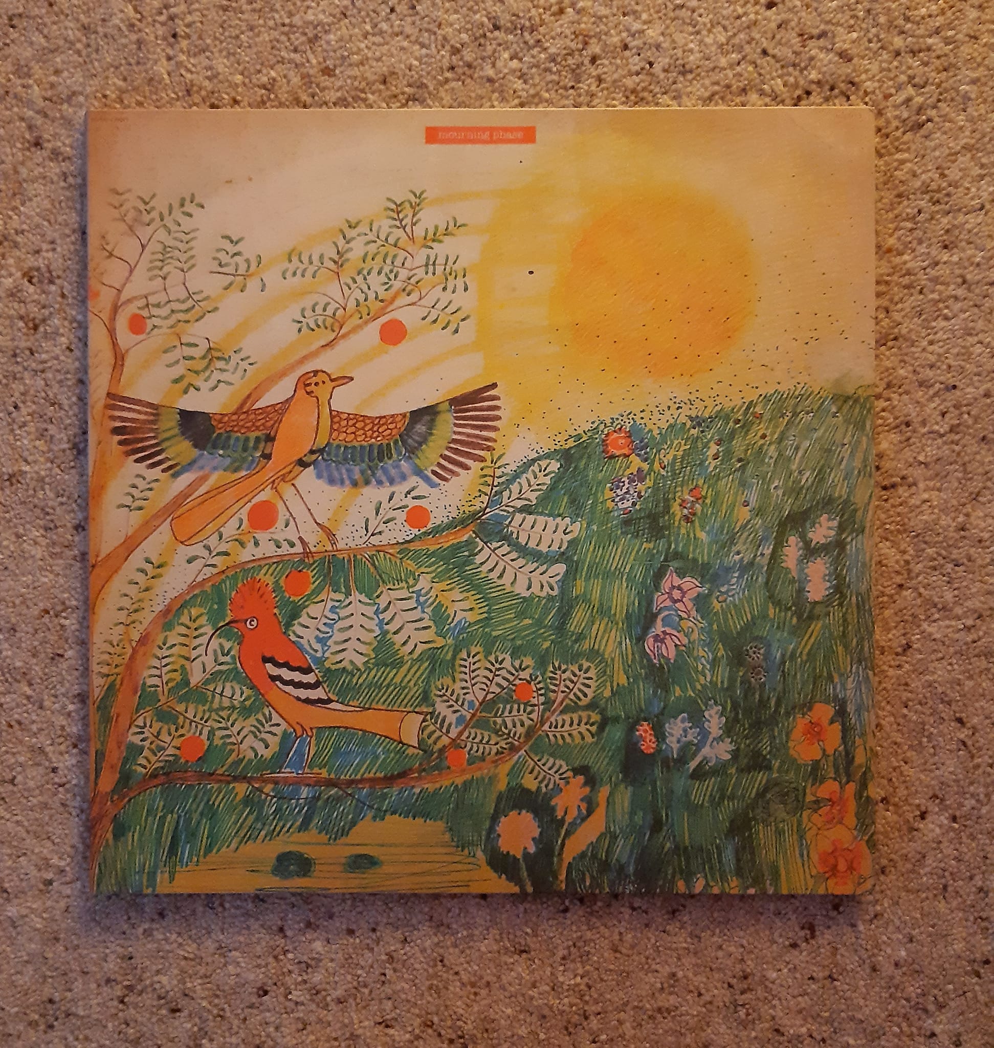 Mourning Phase 1971 progressive folk album reissue