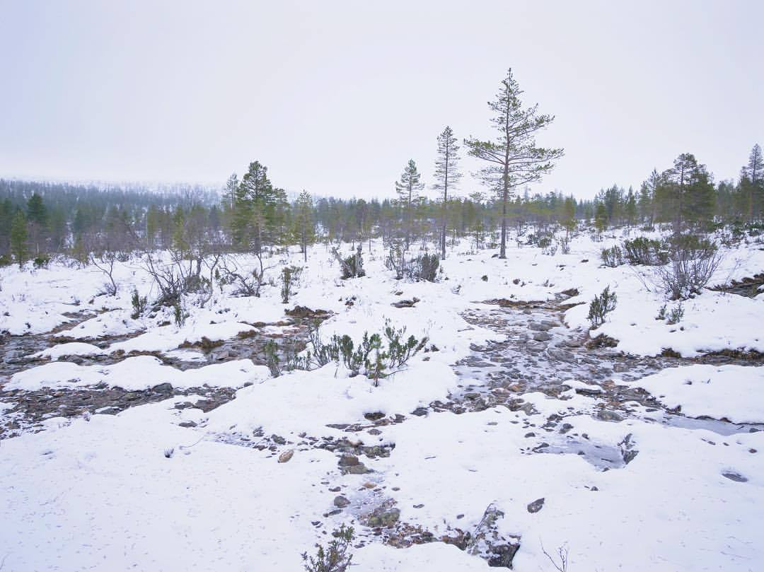Cold Rough North