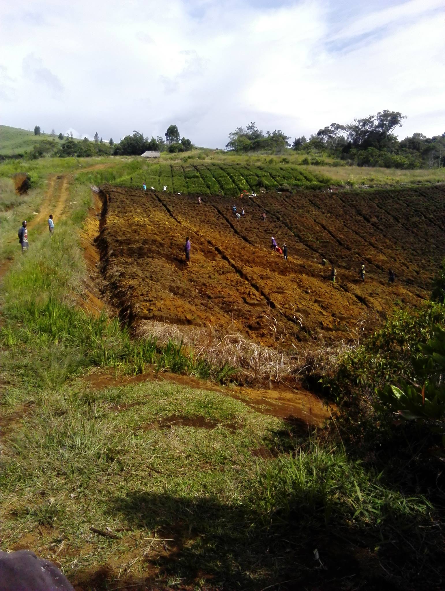 Disaster Risk Management and Climate Change Adaptation