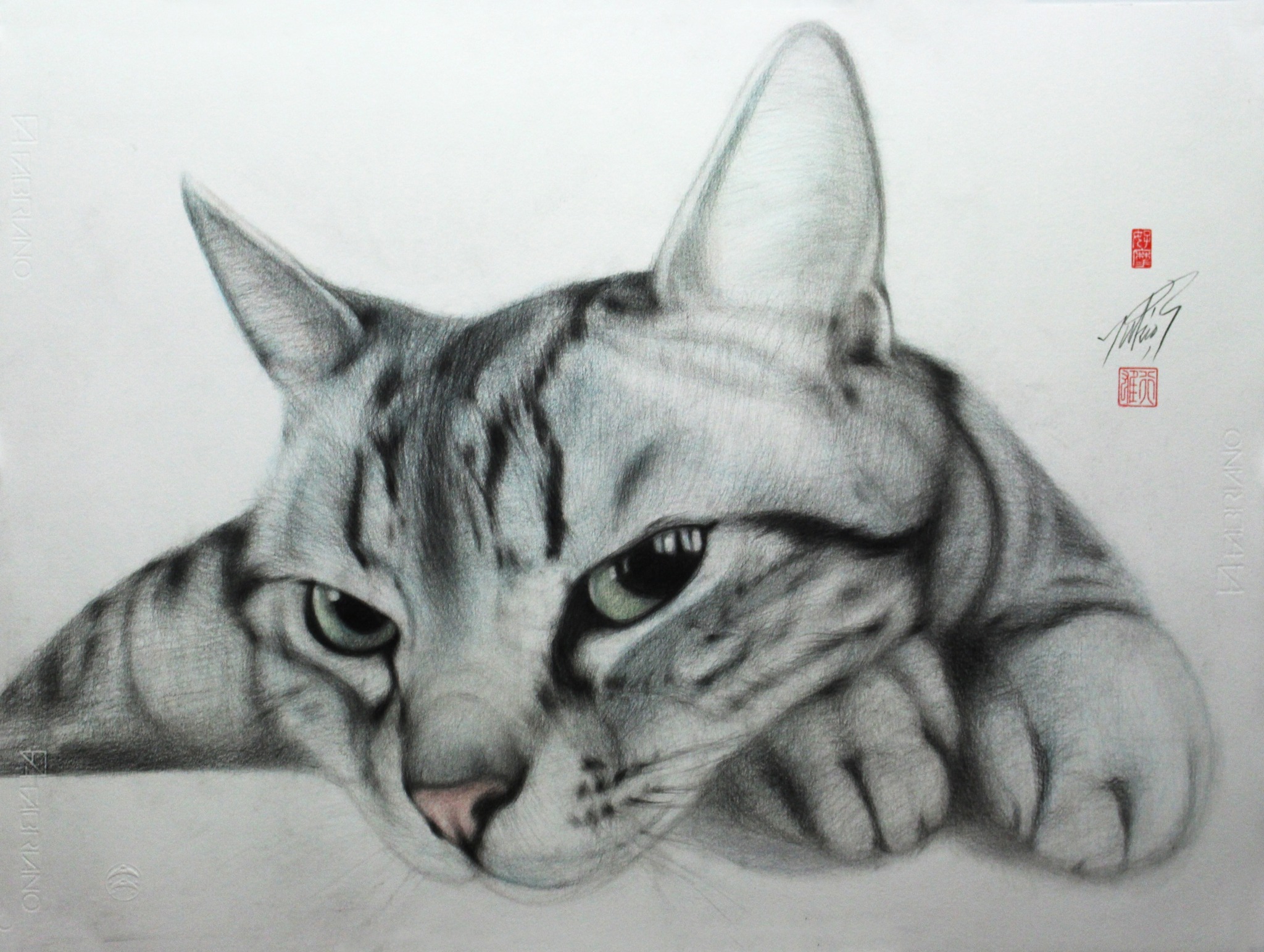 猫の絵描き高橋行雄(@catart.yukio.takahashi) • Facebook