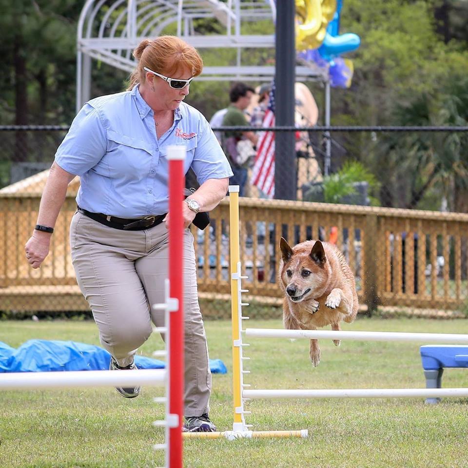 The DogSmith of Florida's Emerald Coast