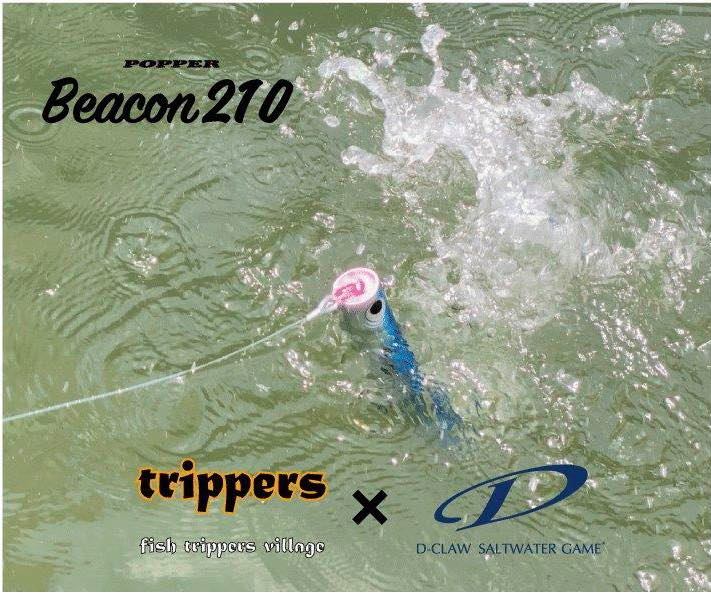 2020 New collaboration items Beacon210!! 来週の月曜日6月29日より