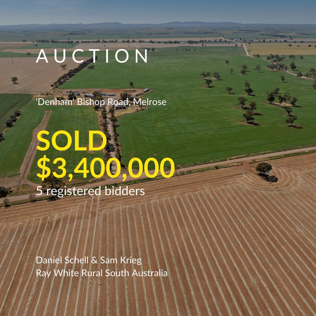 Geoff and... - Geoff and Daniel Schell, Ray White Rural SA