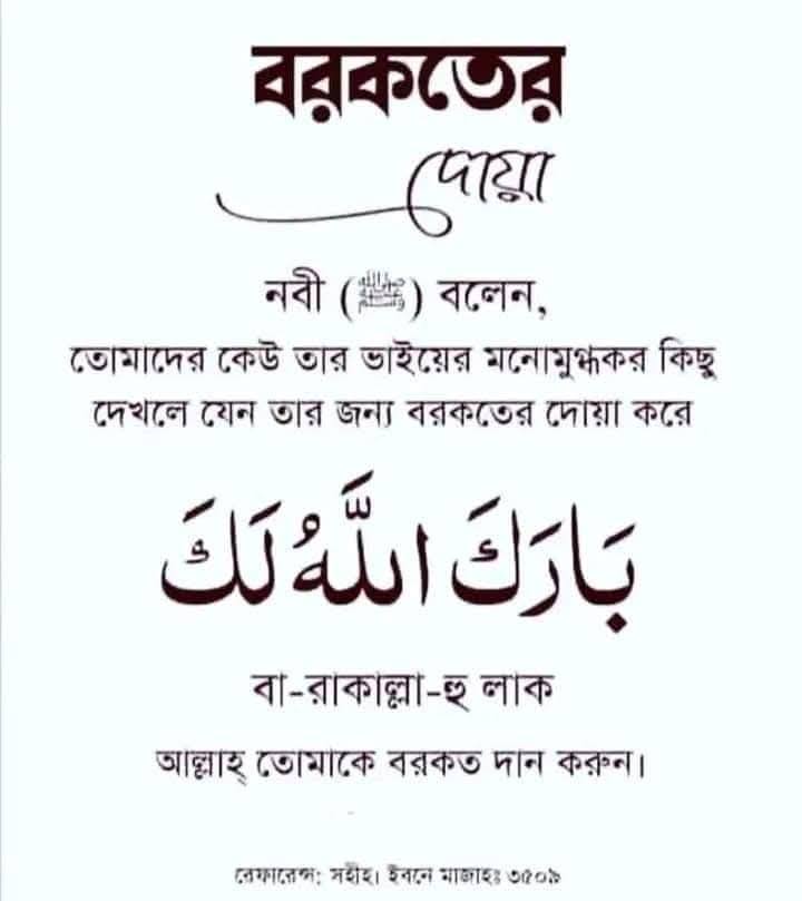 Md. Robiul Islam Raju