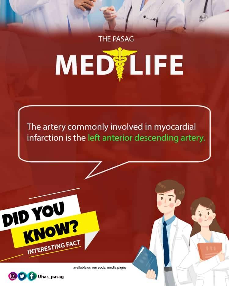 Uhas_pasag - THE PASAG MEDLIFE🇦🇹🇦🇹🇦🇹🇦🇹🇦🇹 The left main... | Facebook