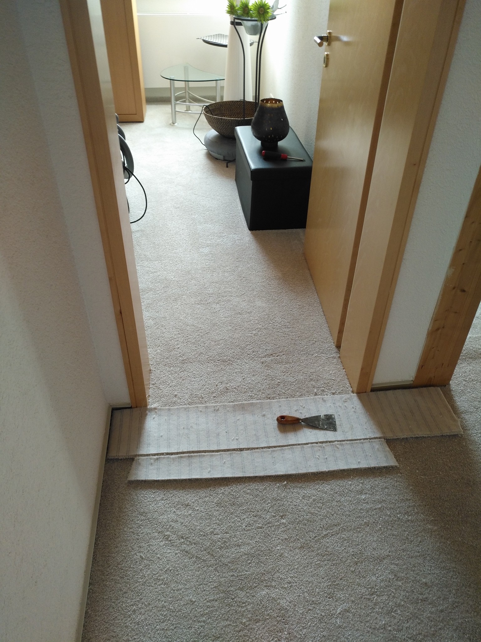 Vorwerk Teppich Idc Dura Schweinfurt Gms Wandgestaltung Und