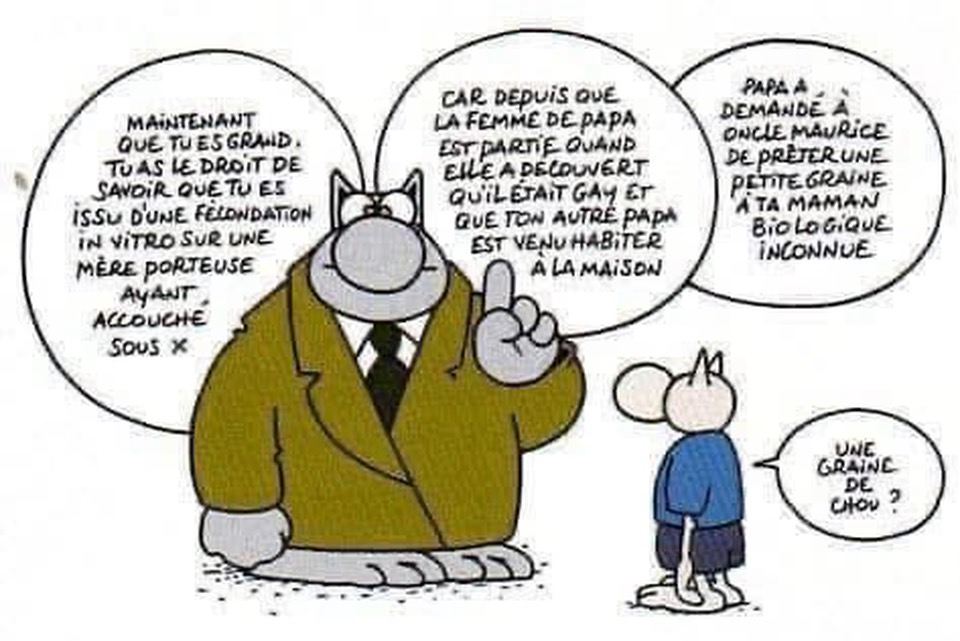 Le Chat vous parle | Le chat du jour est climatologue | Facebook