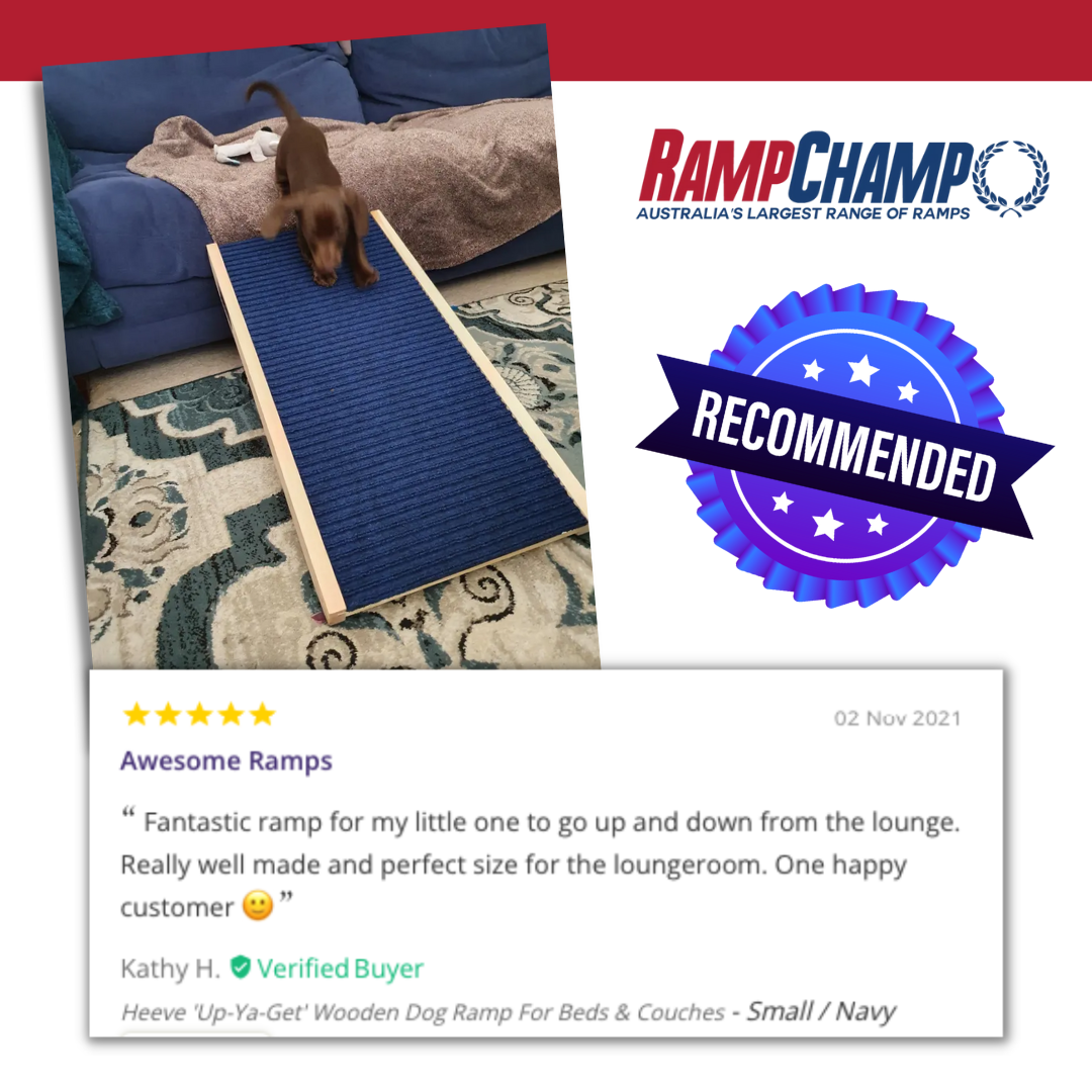 Ramp Champ - Looking for a well-made ramp for your champ? Here's a well ...