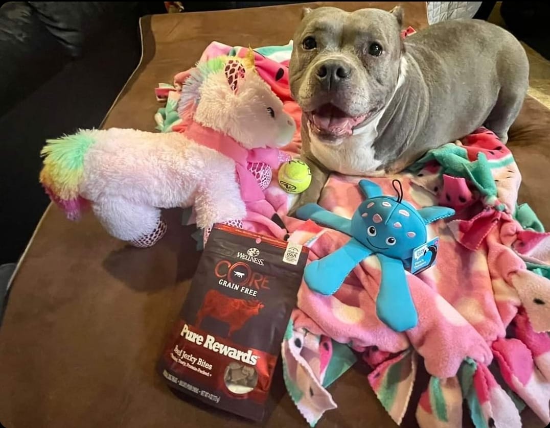 We absolutely loved our gift box from the Live Like Roo Foundation ...