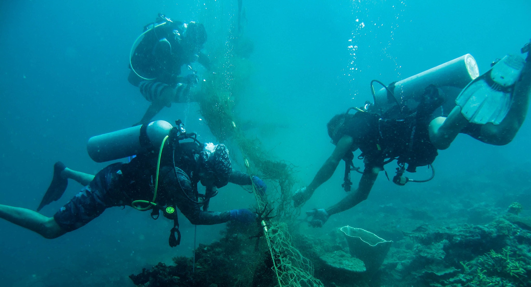 Go Aquatic -... - Go Aquatic - Scuba Diving in Kota Kinabalu