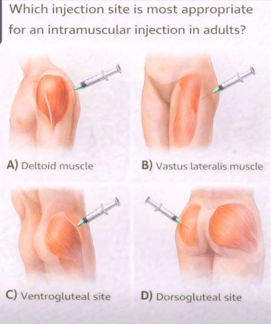 intramuscular thigh vitamin b12 injection site What is the most appropriate site? program-1-addon TOP 10 BEST B12 Quantity:10 ml