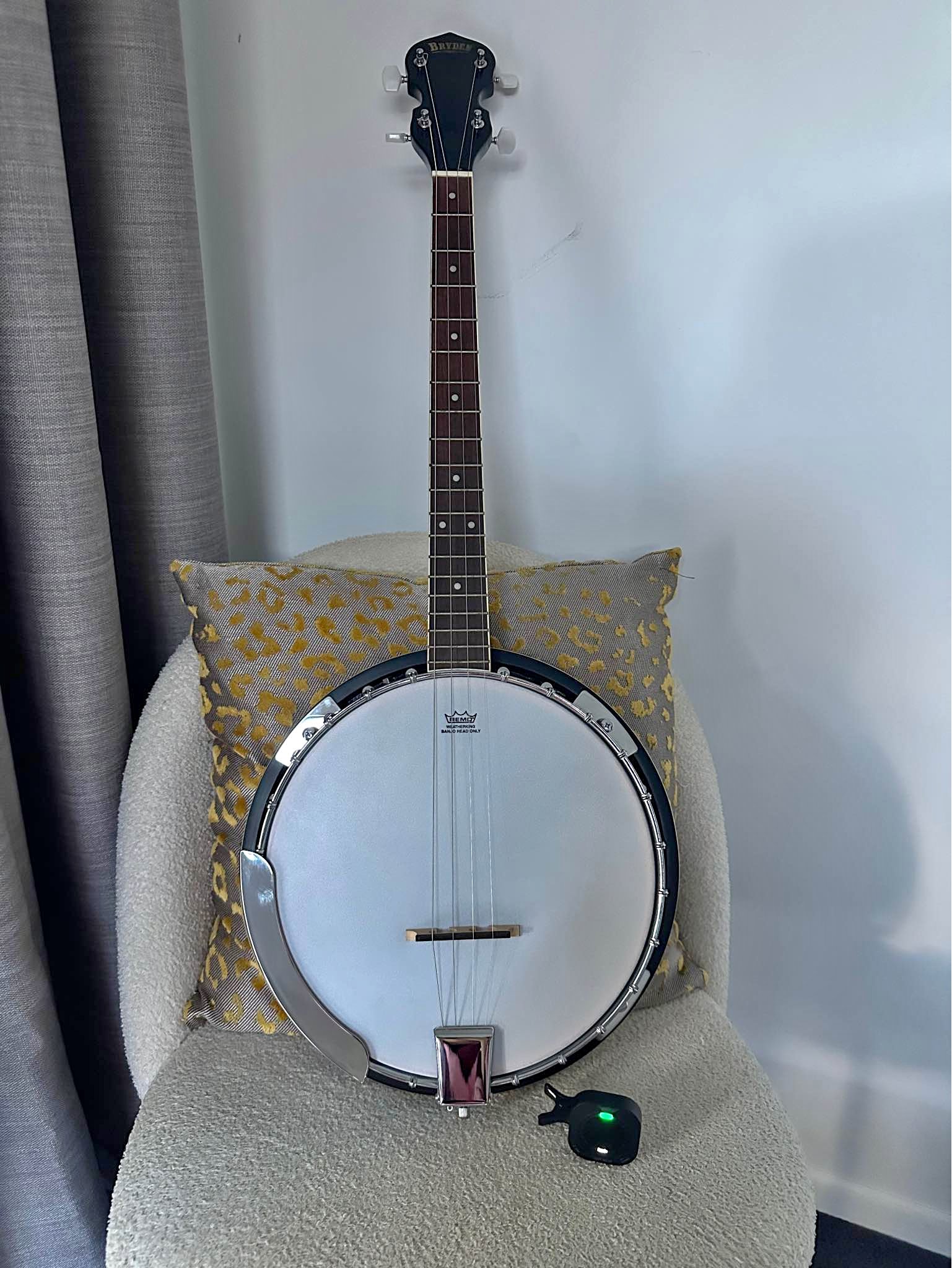 Fender FB300 5 string Banjo - Banjos - Brisbane, Queensland, Australia ...