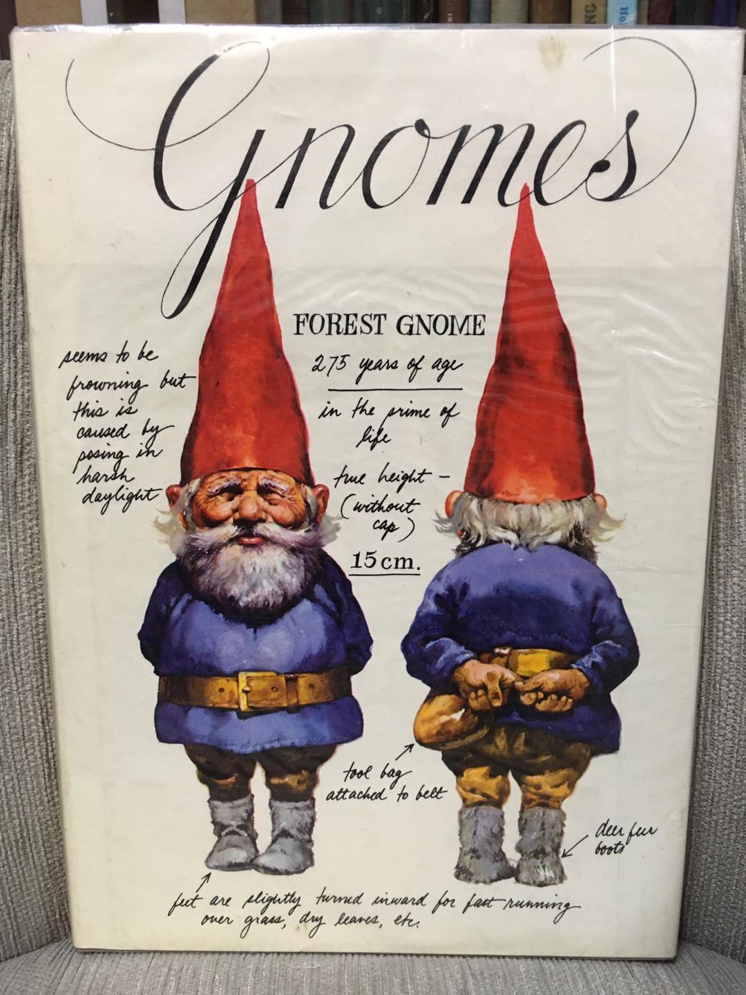 Teeny tiny gnome tomes boxed little hardcover set (1981) In good