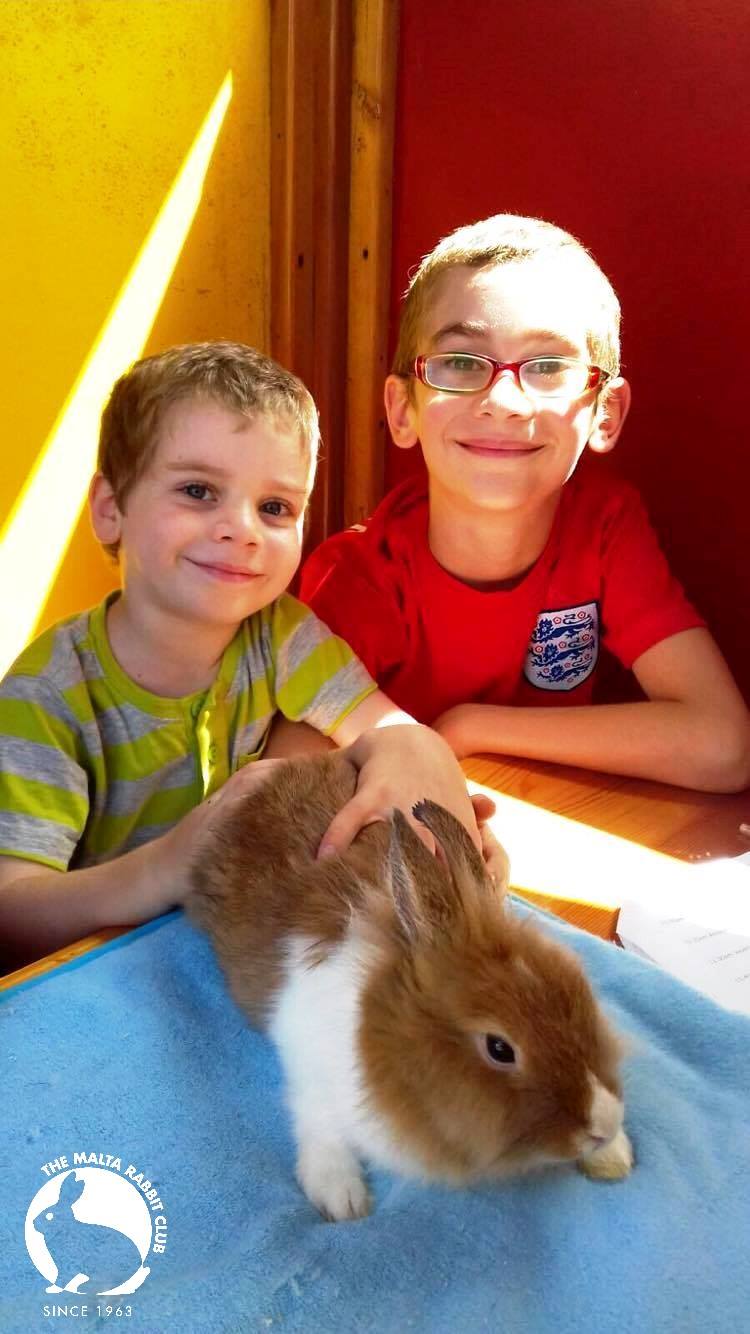 Insellmilkom ħbieb... - The Malta Rabbit Club - Since 1963