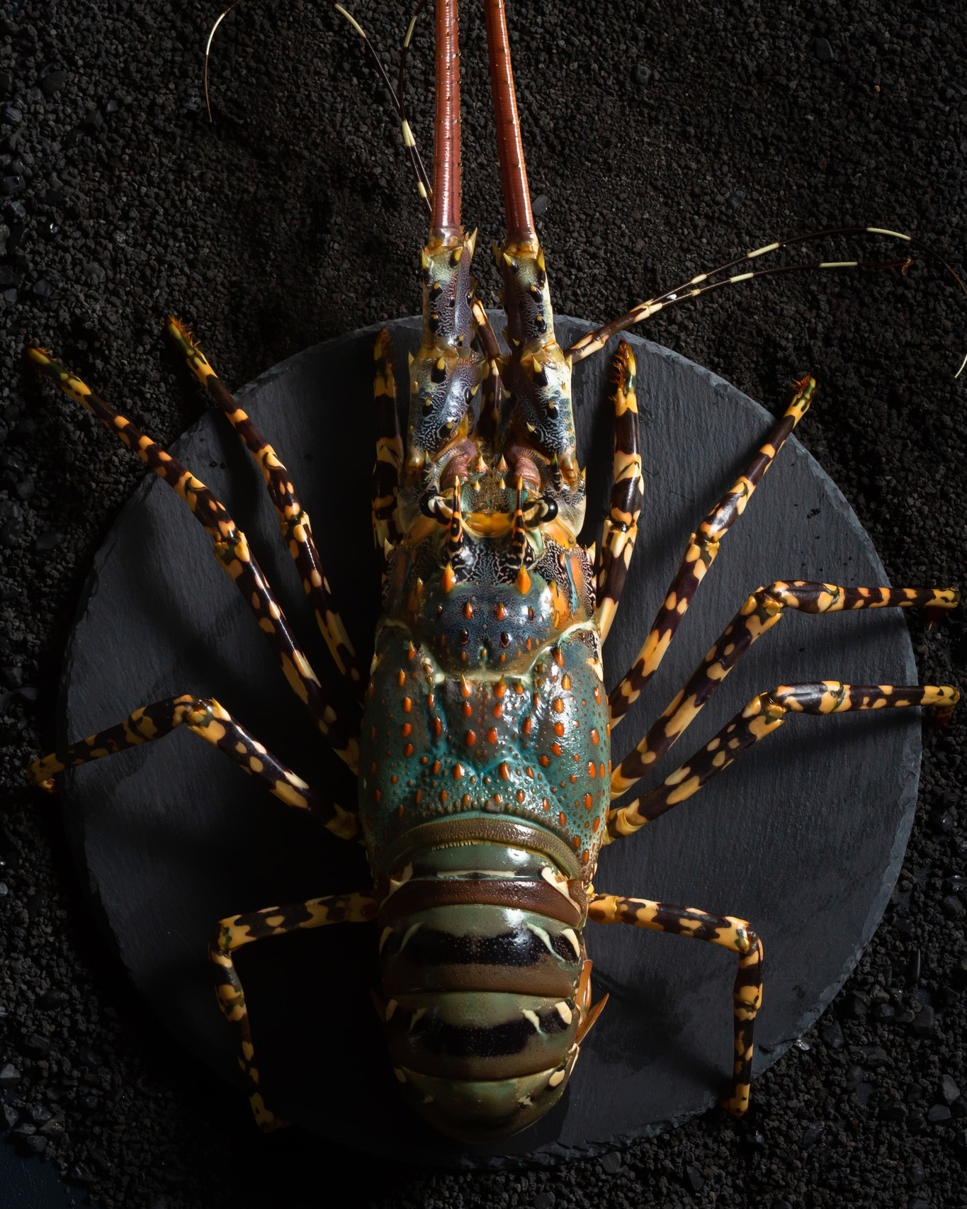 เริน Rern - กุ้งมังกรเจ็ดสี หรือ “ฟัวกราส์แห้งท้องทะเล”... | Facebook