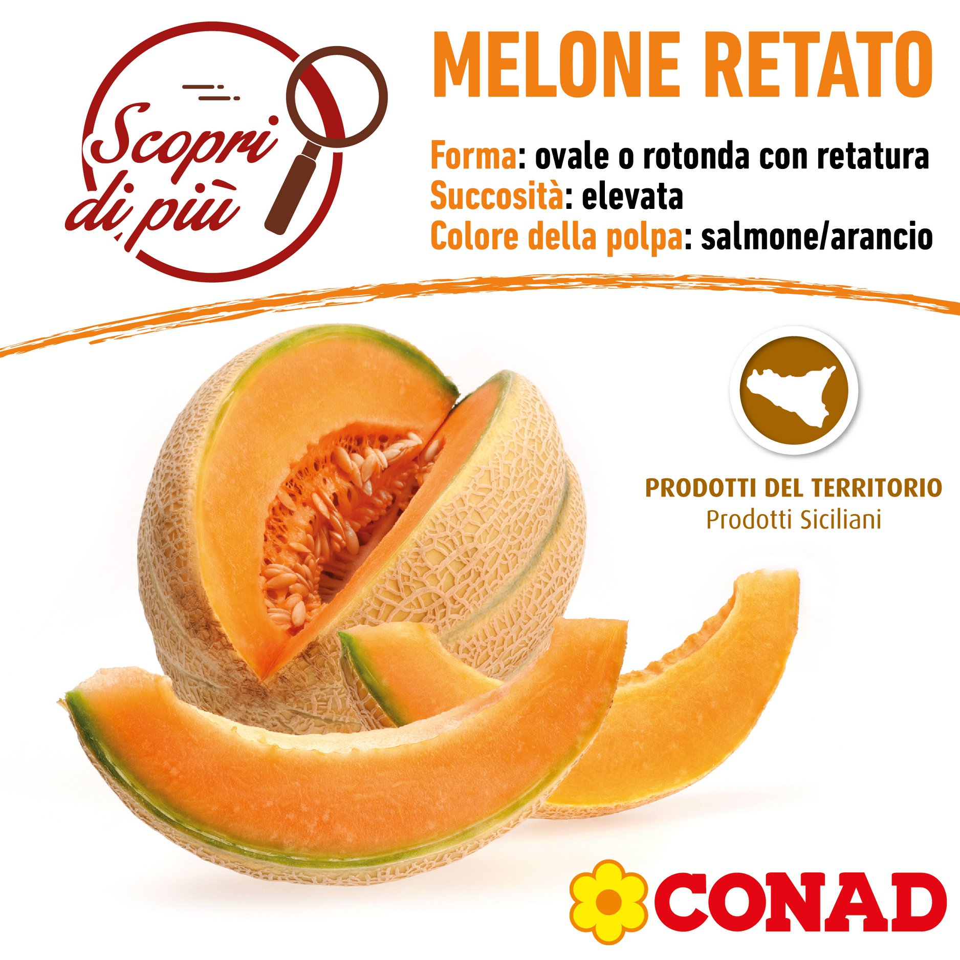 Melone Retato degli Ortolani - 30 Semi - Gigante, Raro, Alta Germinabilità, Polp