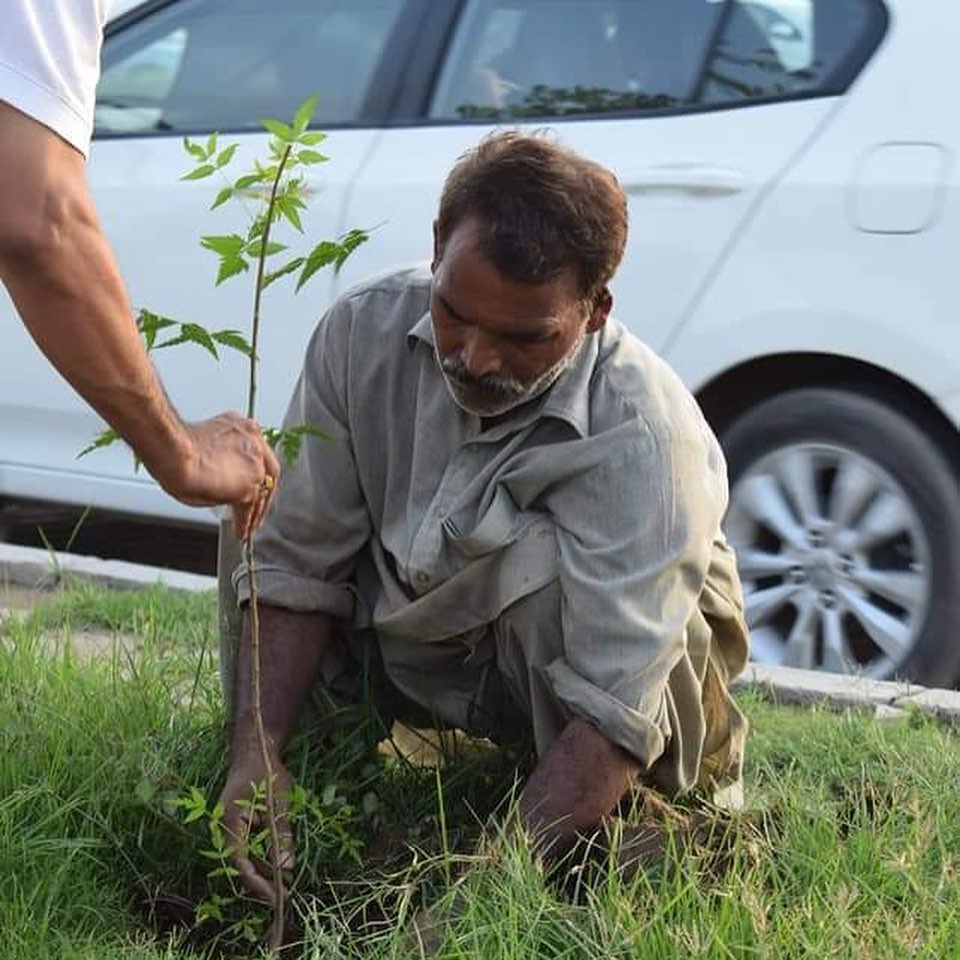 PakTree | Lahore