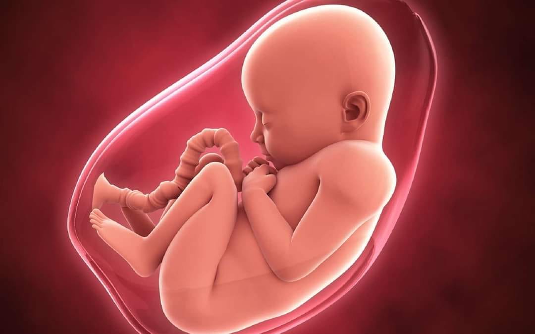 Un Jour A Abidjan Depuis Le Ventre De Nos Mamans Nous N Avons Cesse De Nous Baigner Dans L Urine En Tant Que Bebe Nous Avons Tous Baigne Dans Le Liquide Amniotique Du