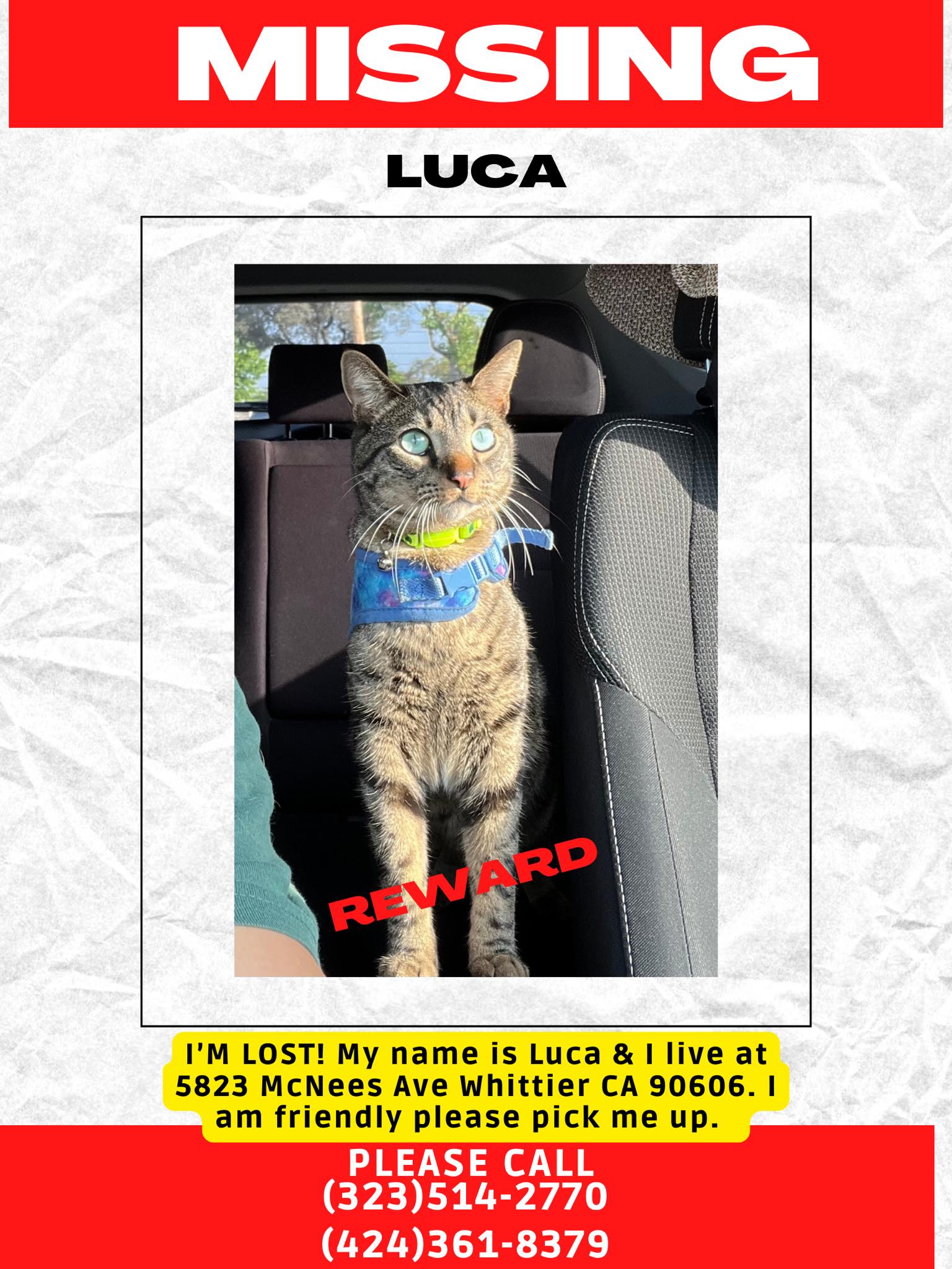 Have you seen my lost pet?