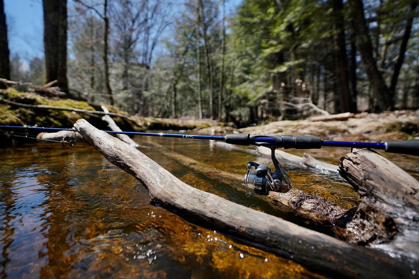 best rod and reel for trout fishing in stream Rivers Best Ultralight Spinning Reels for