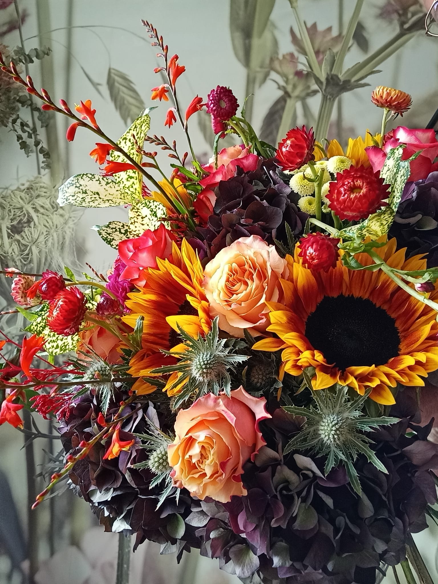 Colorfull 🐠 | Igi Flowers Tirane