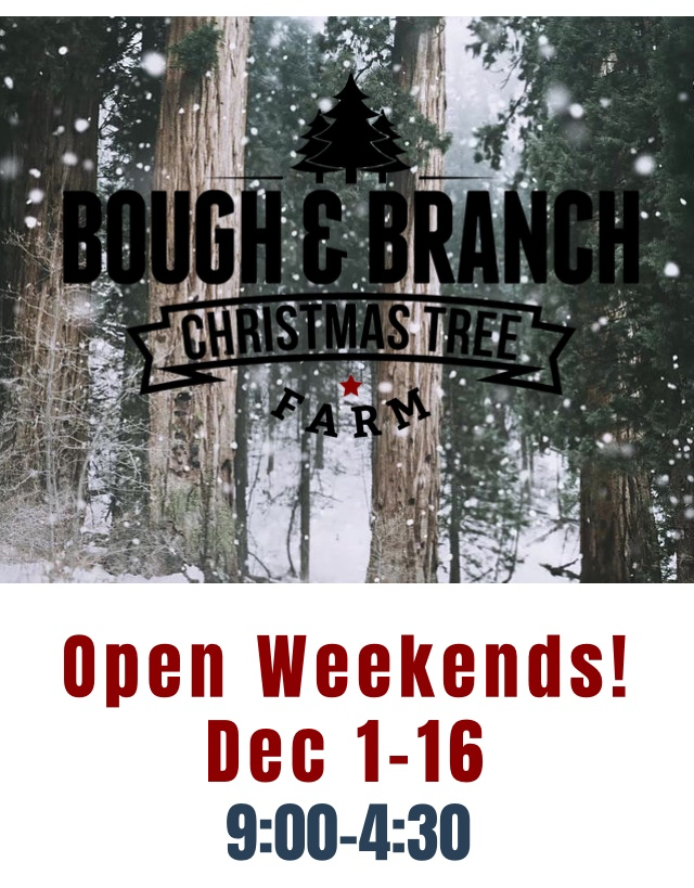 Bough & Branch Christmas Tree Farm | Abbotsford BC