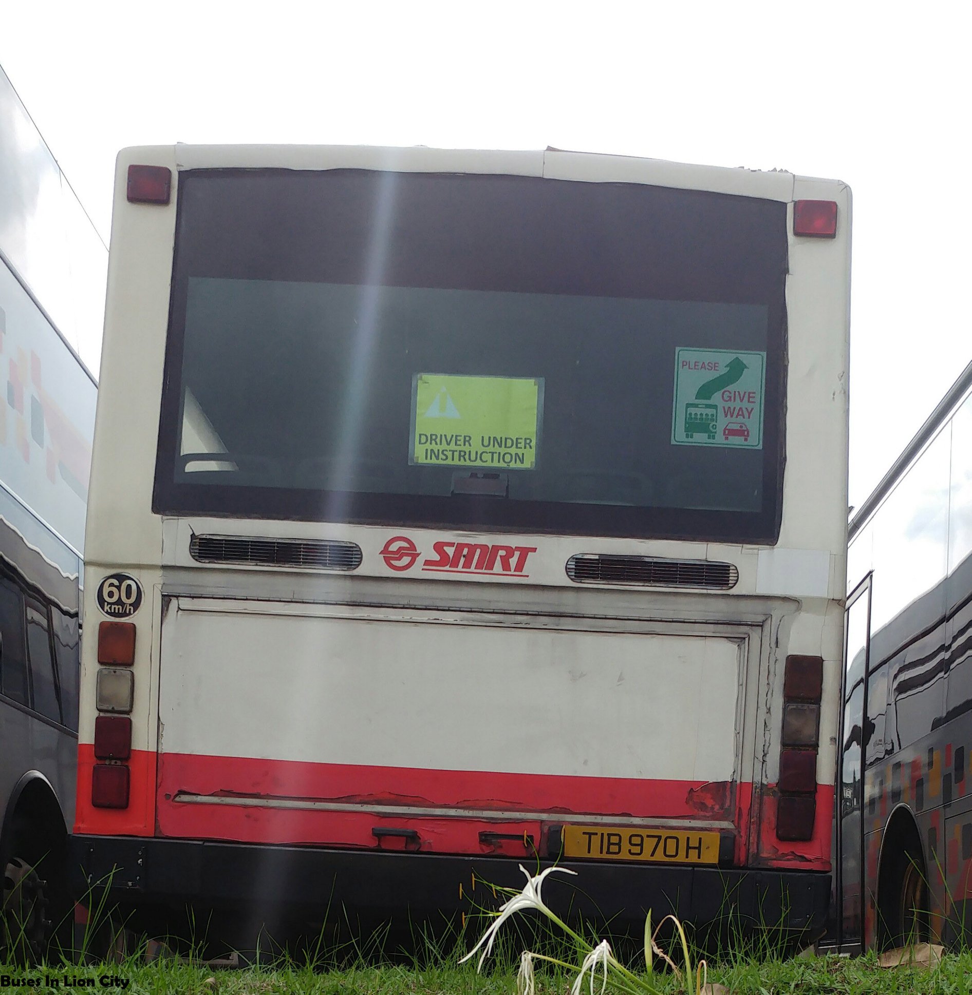 Buses In Lion City - Rear of TIB970H a SMRT Mercedes Benz O405 with ...