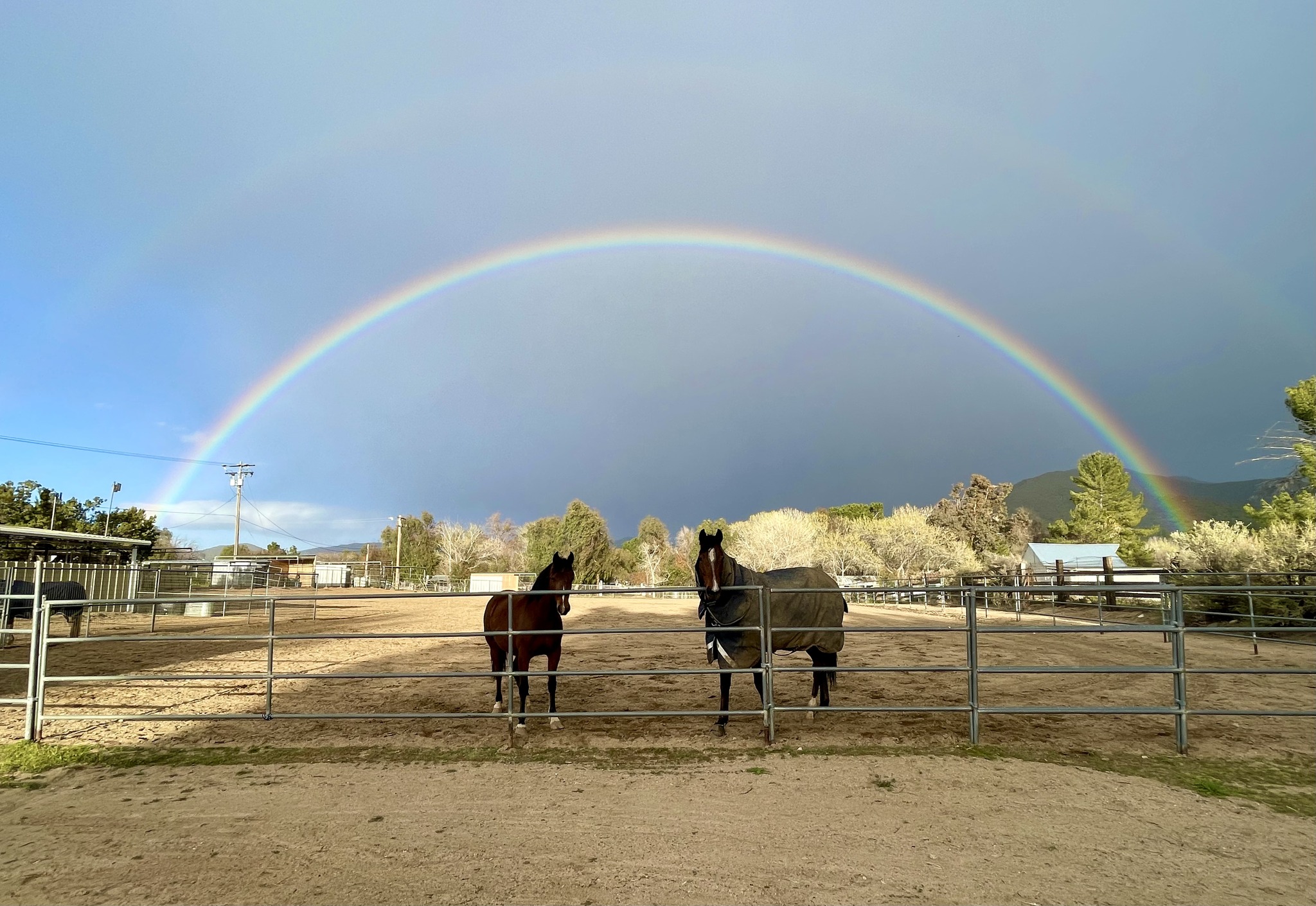 Blue Roan Ranch Sanctuary | Acton CA