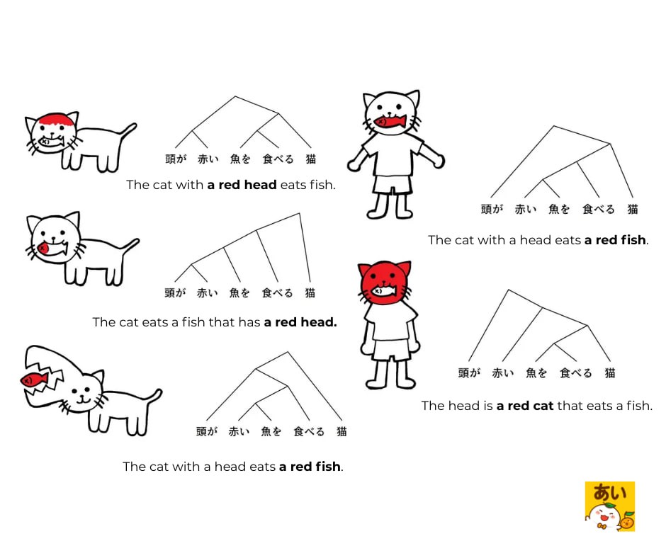 Japanese sentence structure vs English for beginners