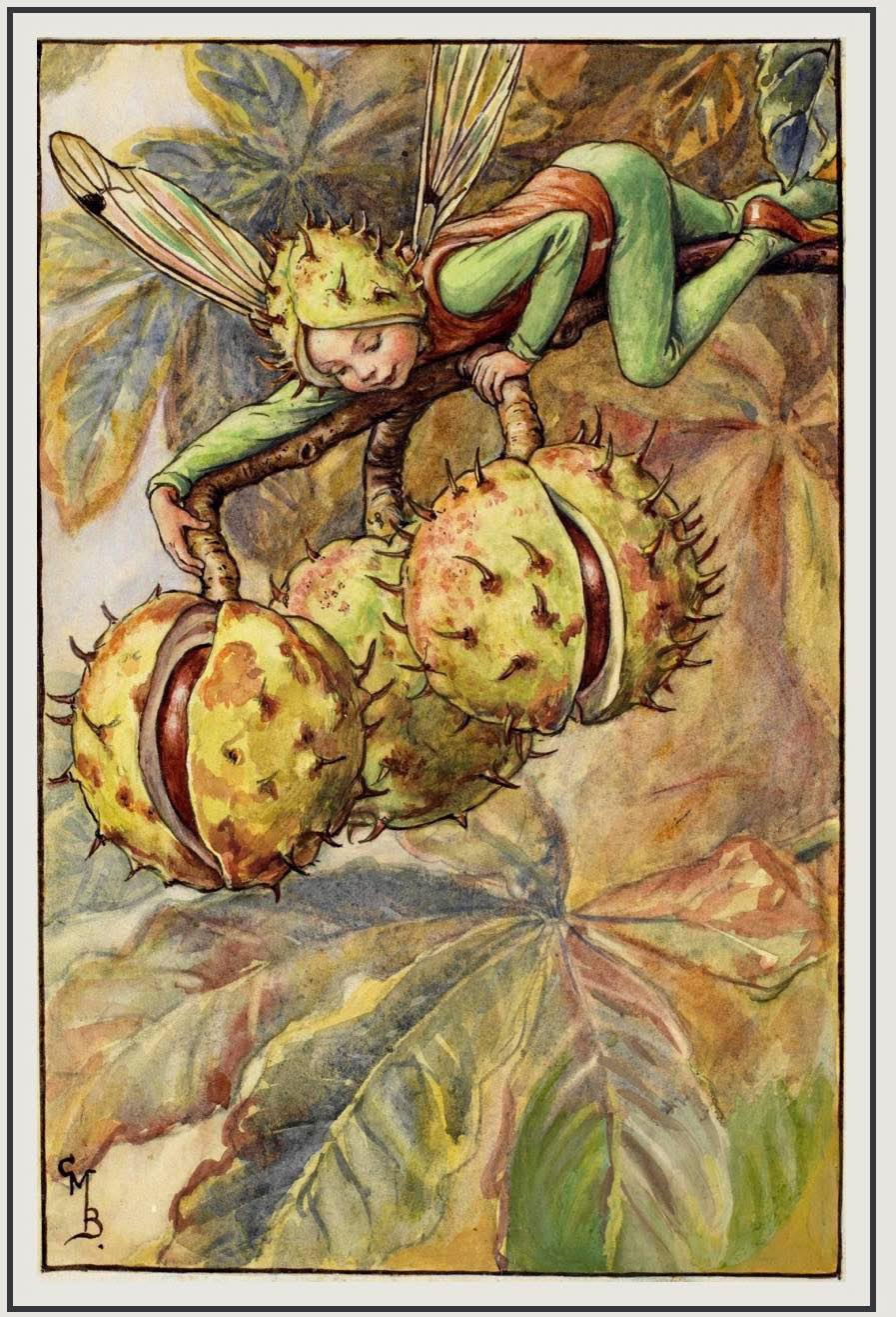 The Horse Chestnut Fairy 額装アート The Horse Chestnut Fairy 💛🌰🍁🍂 My conkers, they are shiny