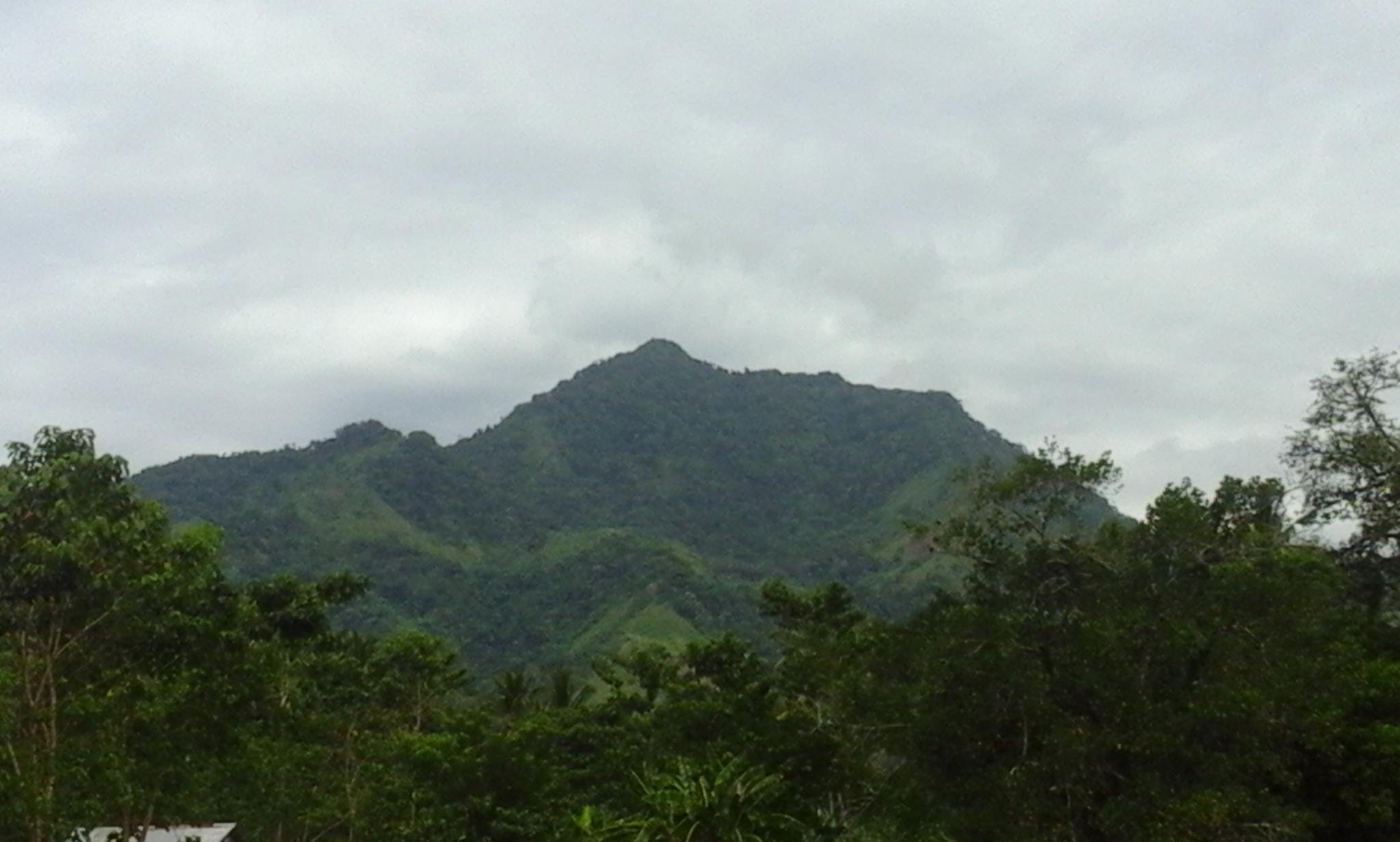 Rock Palawan - Rock Palawan added a new photo.
