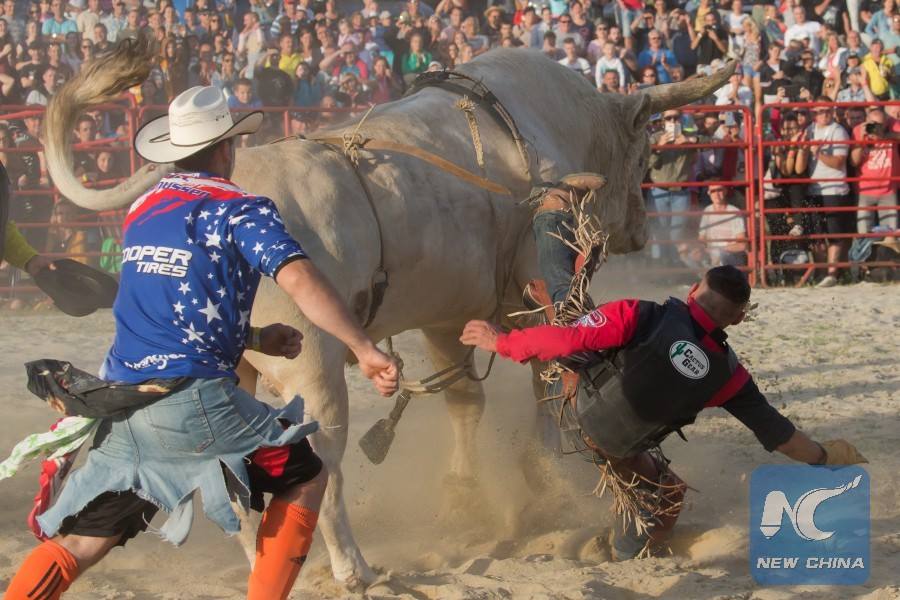 China - -Hungary's Csaba Vajda competes on a bull during the Rodeo Bull ...