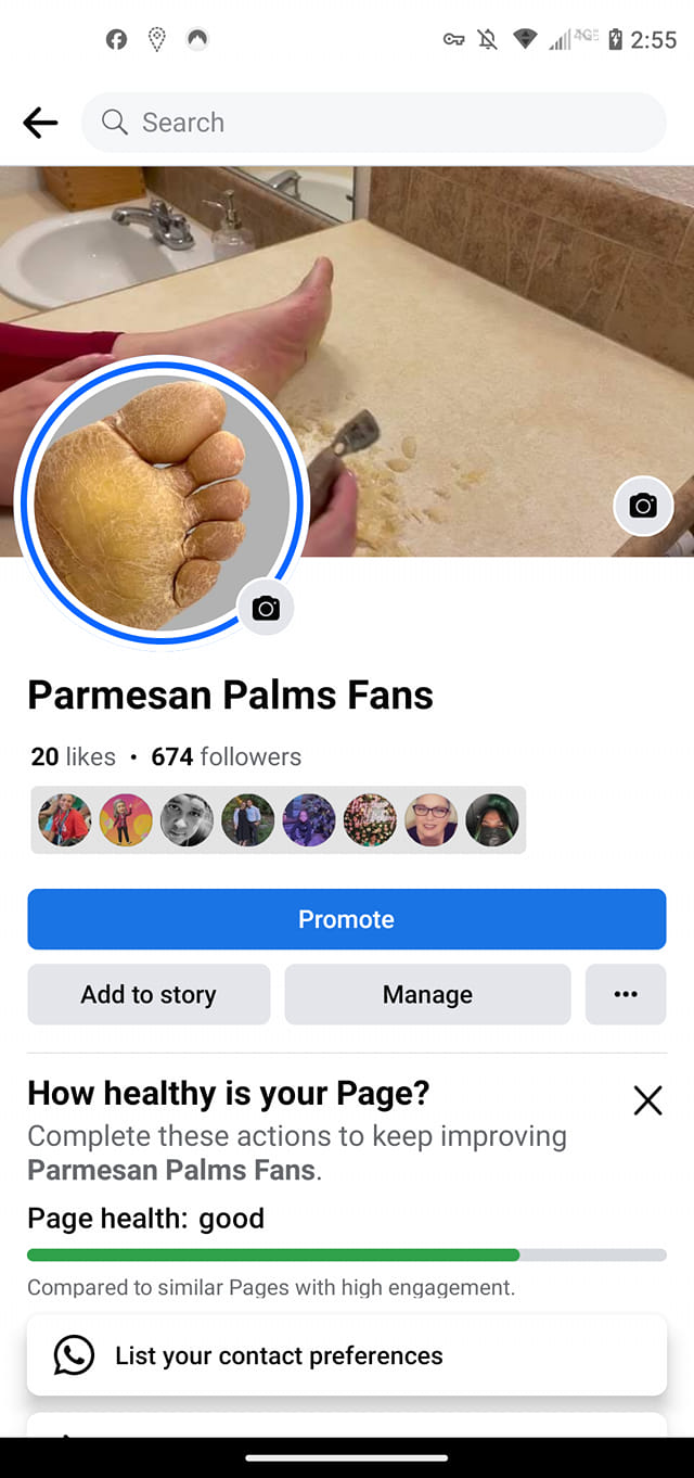 Parmesan Palms Fans Group | Facebook