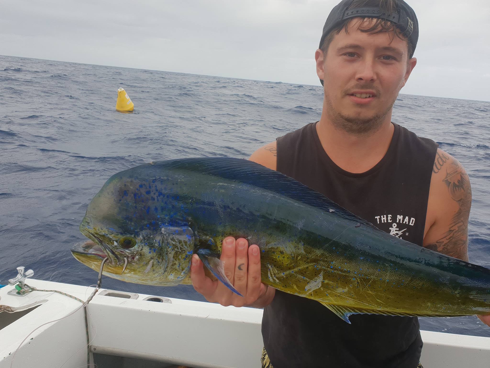 Fishcore