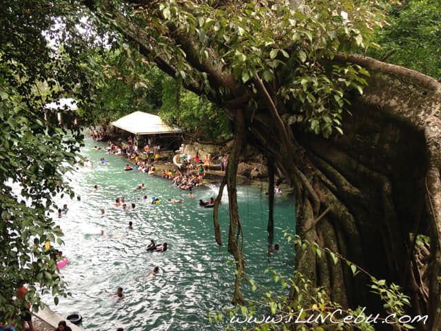 OBONG COLD SPRING... - Dalaguete Cebu Philippines 6022