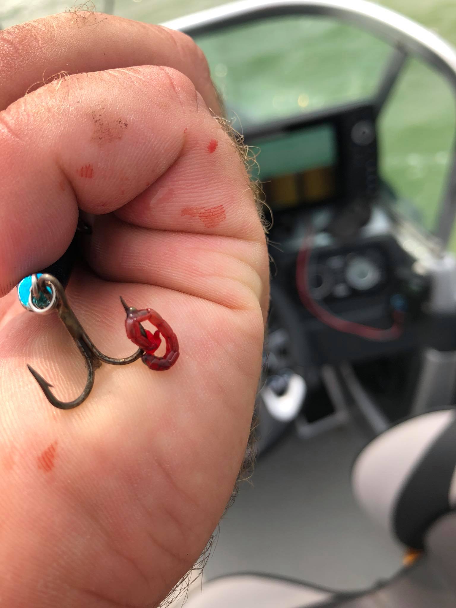 bloodworms fish hook Fishbites 0033 Red Bloodworm Bag O'Worms, Small, 3-Count (1 Package) : Fishing Soft Plastic Lures : Sports & Outdoors the turned in hook point aids in hook setting while the extra BC Bloodworm – The Confluence