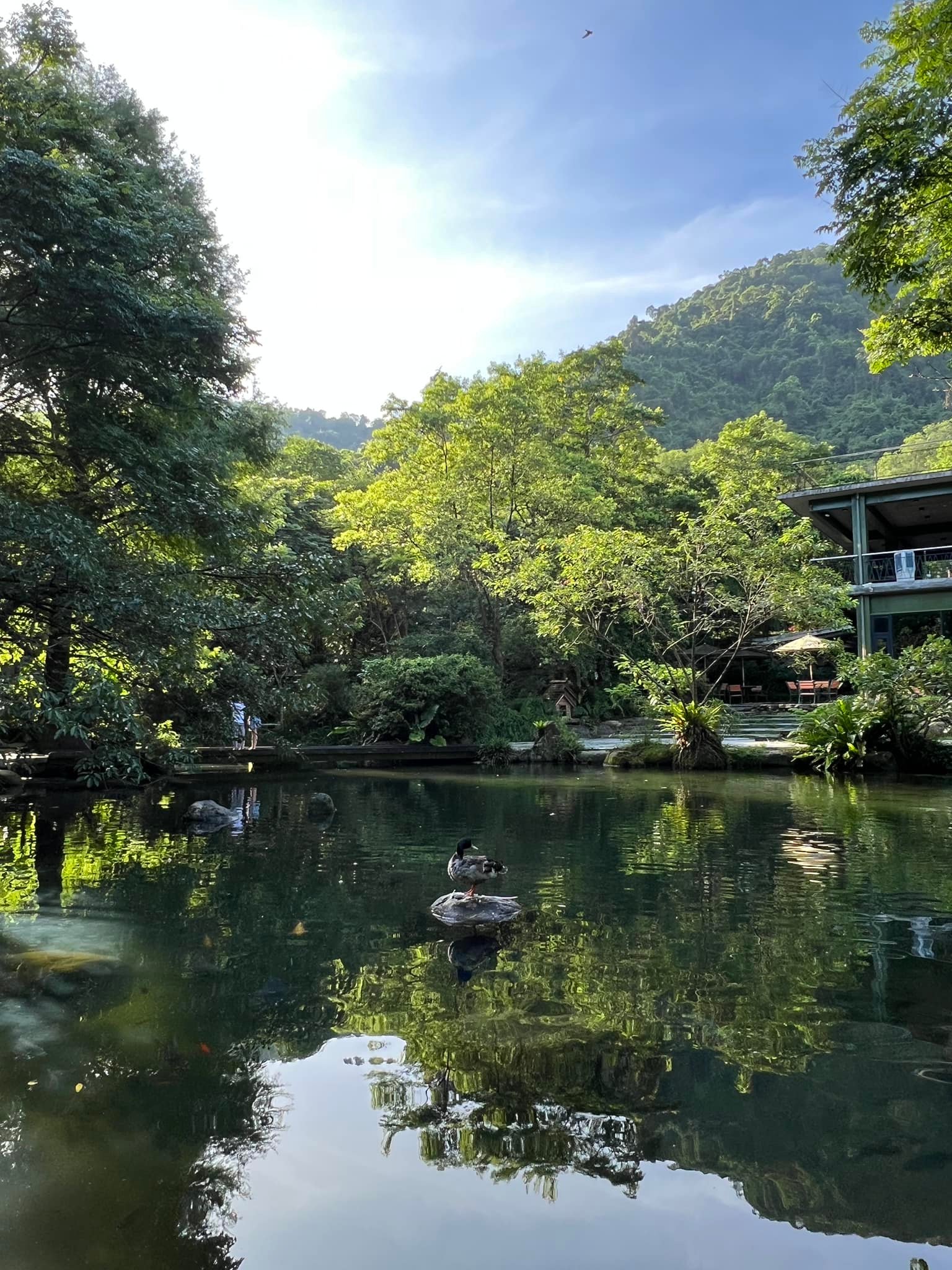 【我行〡來去 #紫森林 住一晚】... - Susu姐-沒時間x零廚藝x健康蔬食