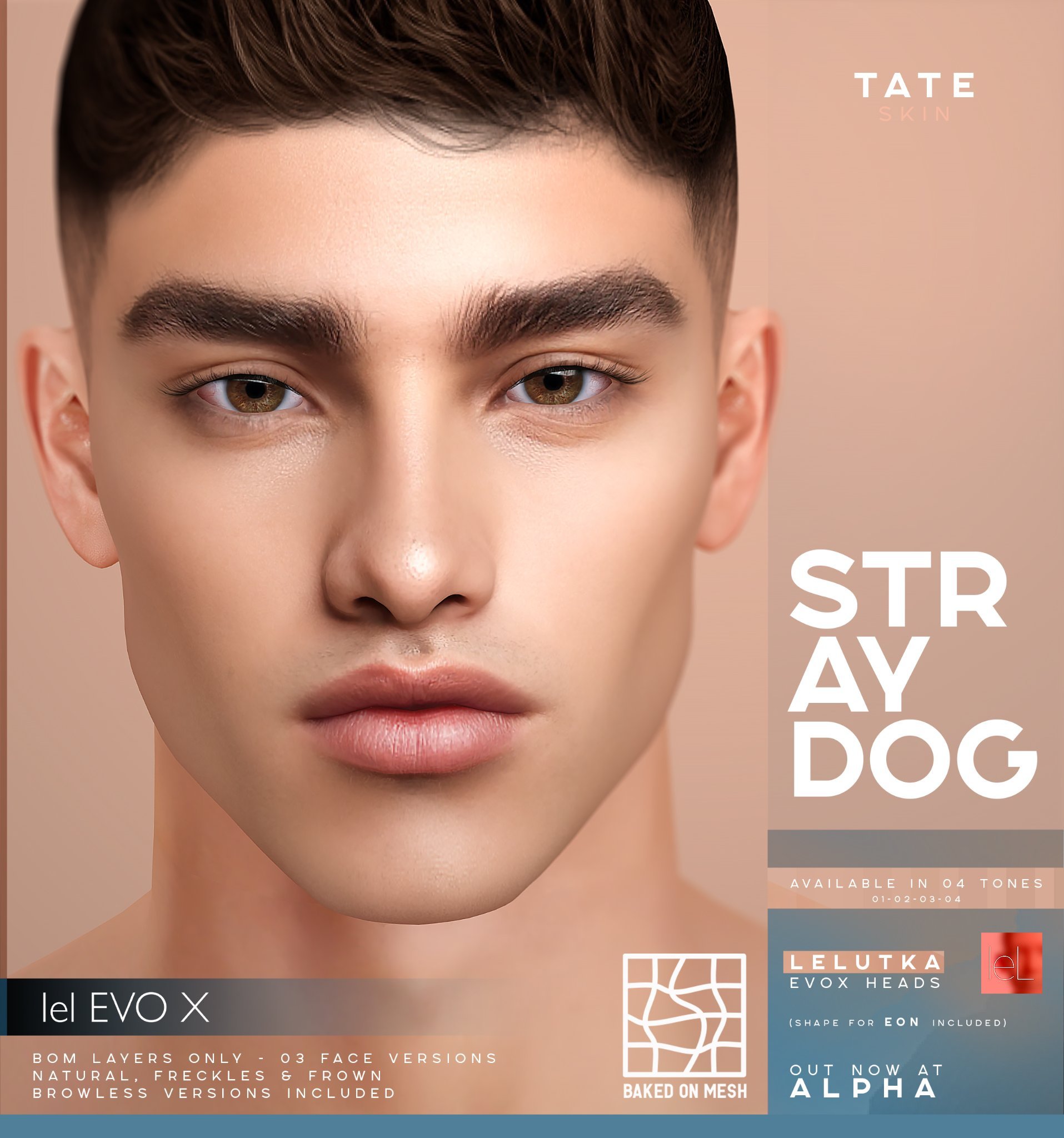 ALPHA | STRAY DOG for 𝗔𝗟𝗣𝗛𝗔 🐺 | Facebook