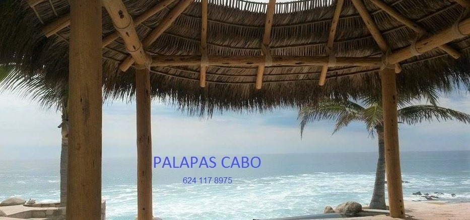 Palapas Cabo