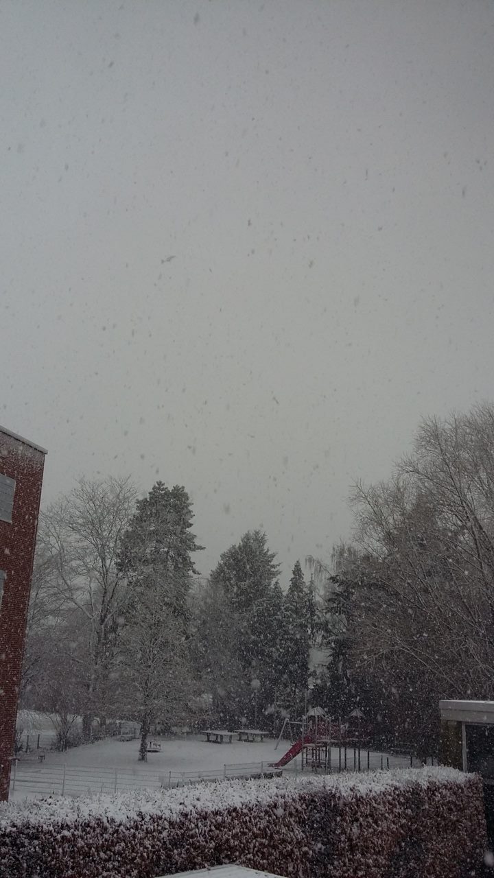 Schnee Endlich Schnee Es Schneit In Diplomica Verlag