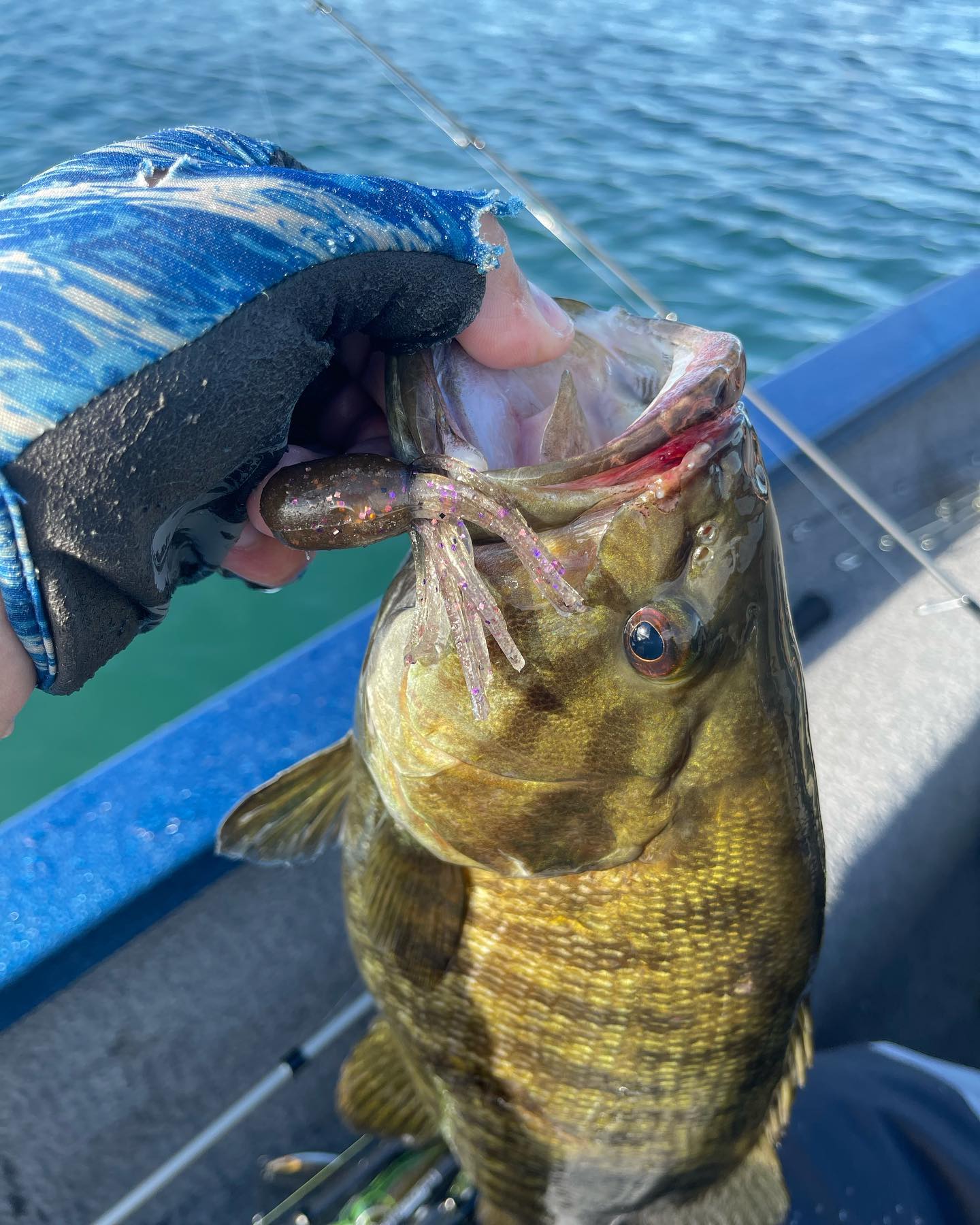Dawson wisner fishing