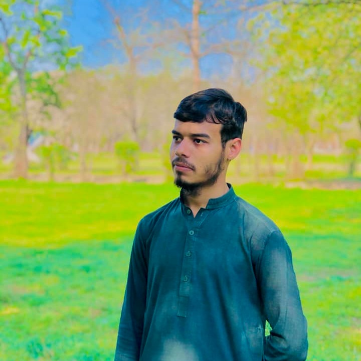 Ali Rasheed