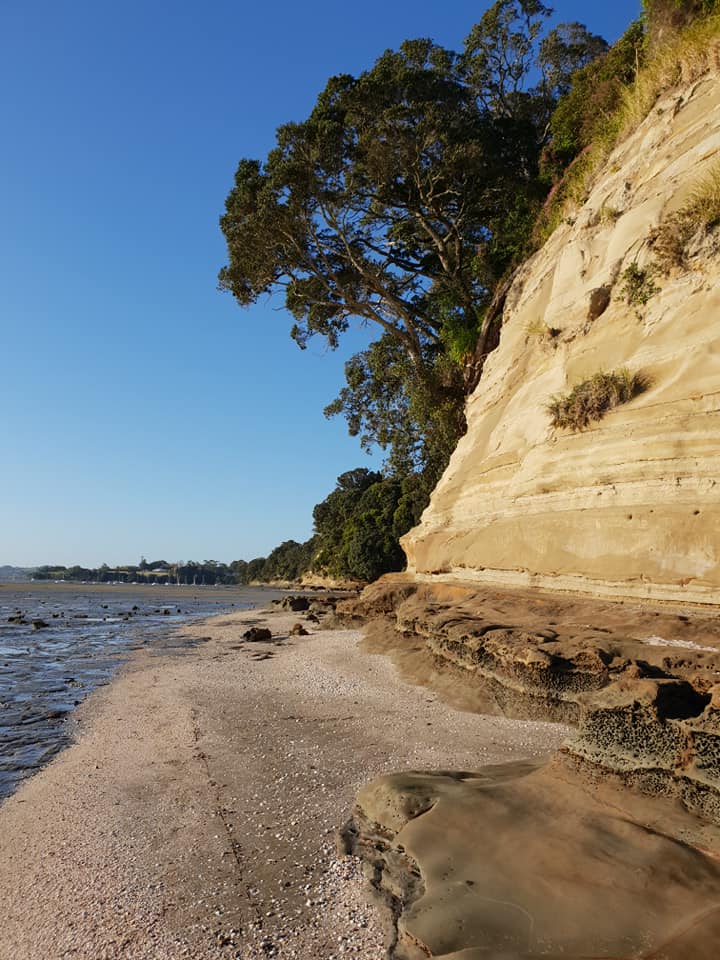 Howick Village - Some lovely photos of Cockle Bay Beach... | Facebook